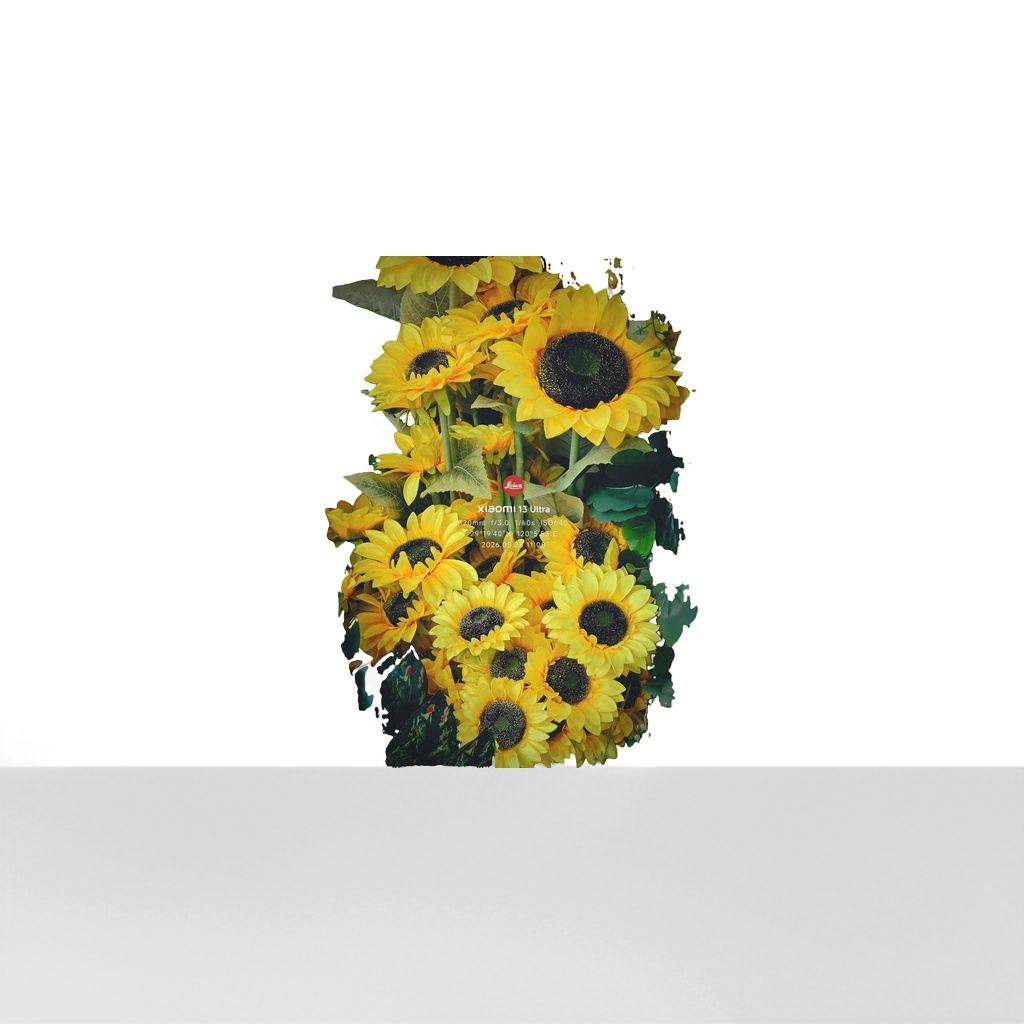 Yellow sunflower bouquets, fresh flowers, birthday gifts, Valentine's Day hand-held bouquets, wedding decorations Application Scenario