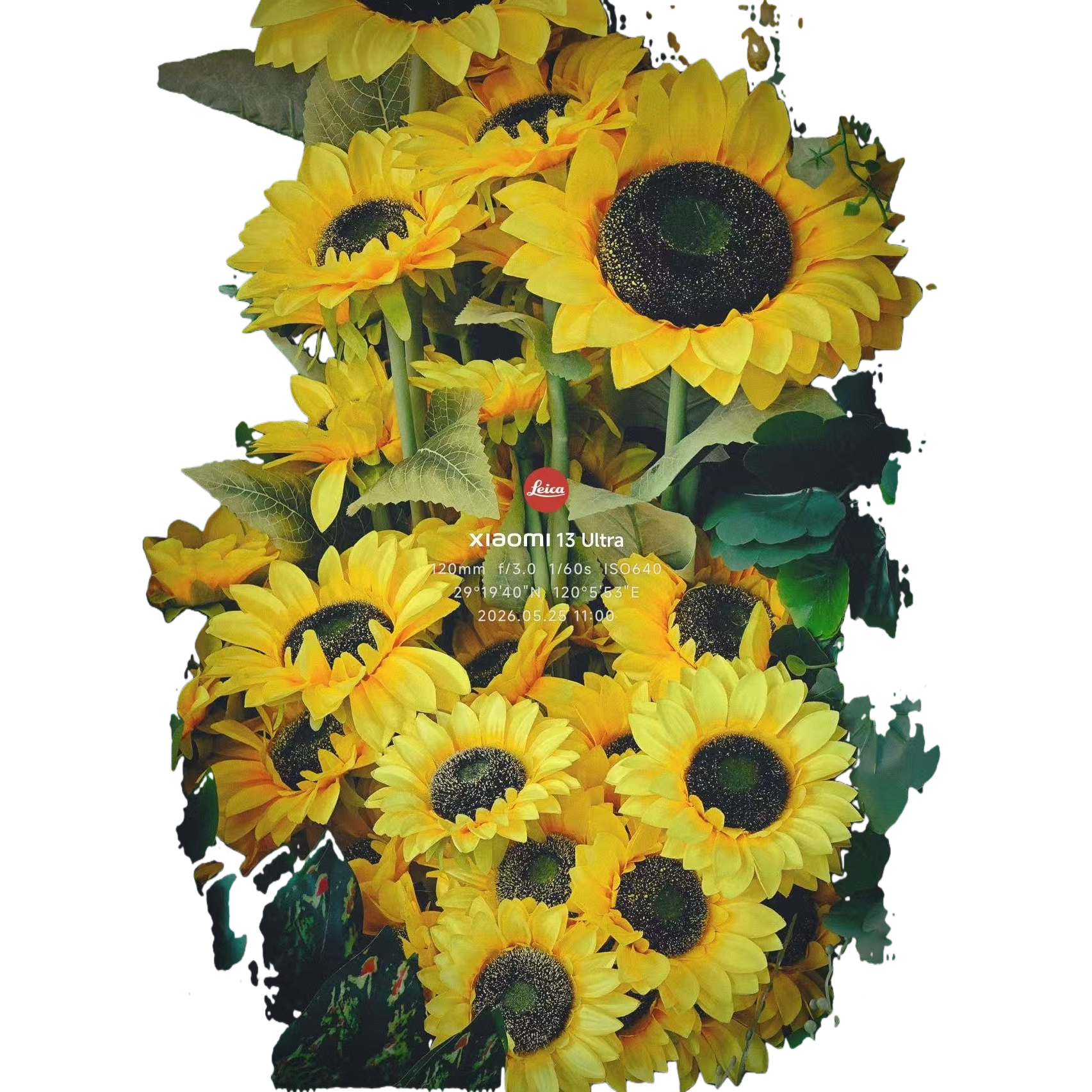 Yellow sunflower bouquets, fresh flowers, birthday gifts, Valentine's Day hand-held bouquets, wedding decorations Item Picture
