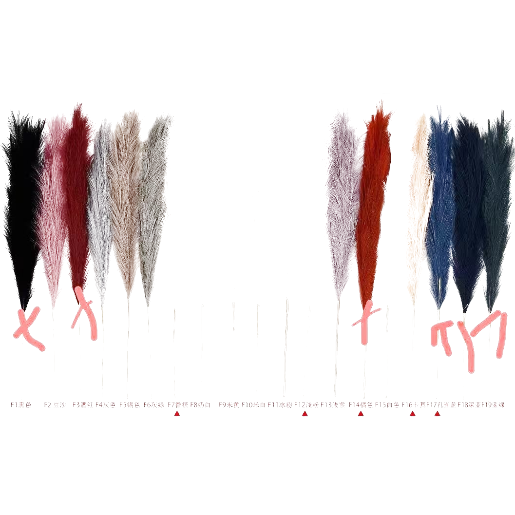 Color plumas decoraciones interiores pared merchandising hecho a mano creatividad hogar softcover Item Picture