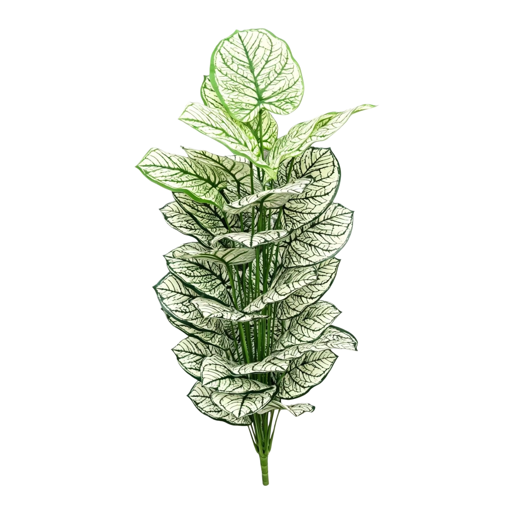 A 36-leaf green plant with green and white interlaced leaf patterns and simulated decorative flower arrangement materials Item Picture