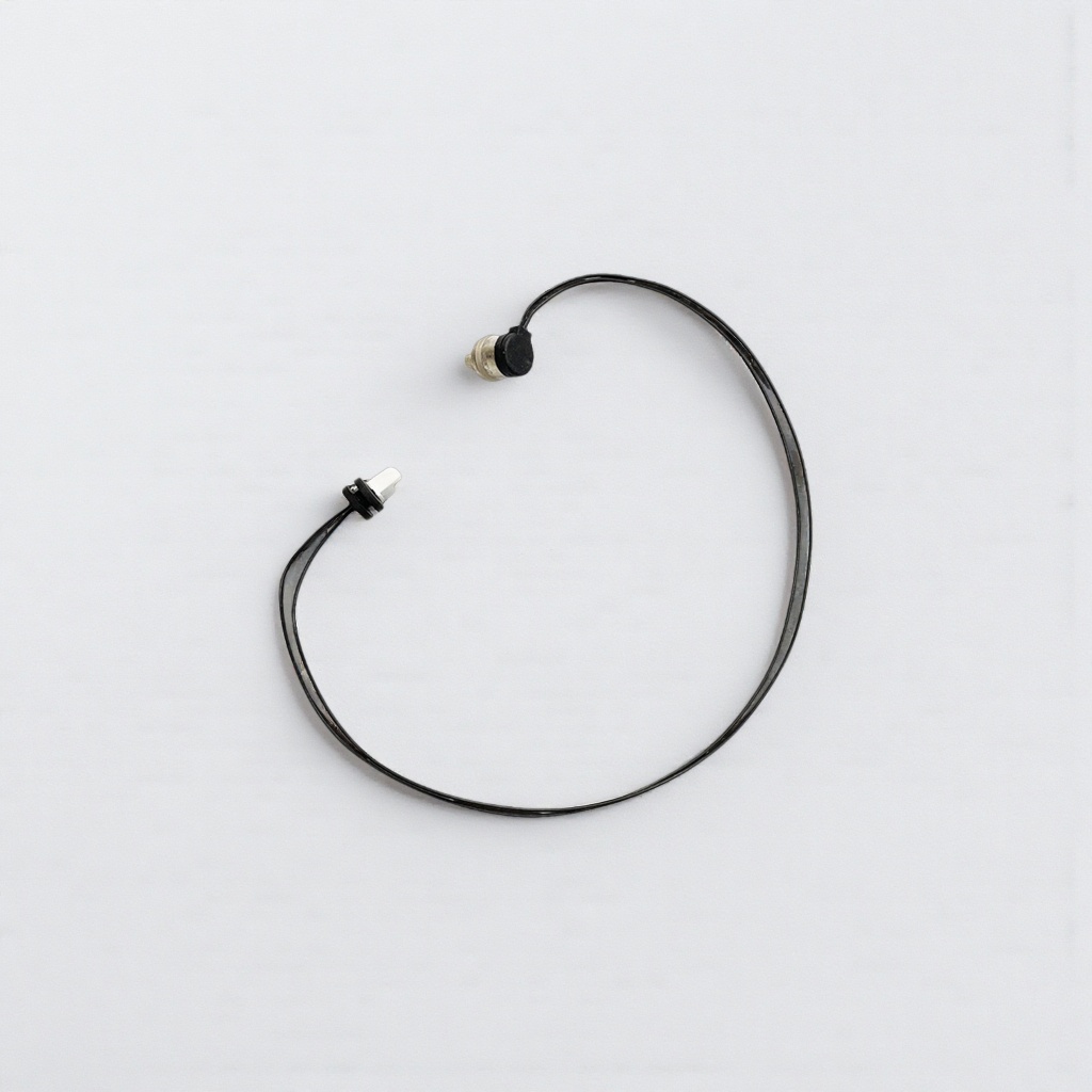 Webast temperature sensor for parking heater, warm air high-temperature heating accessories Application Scenario