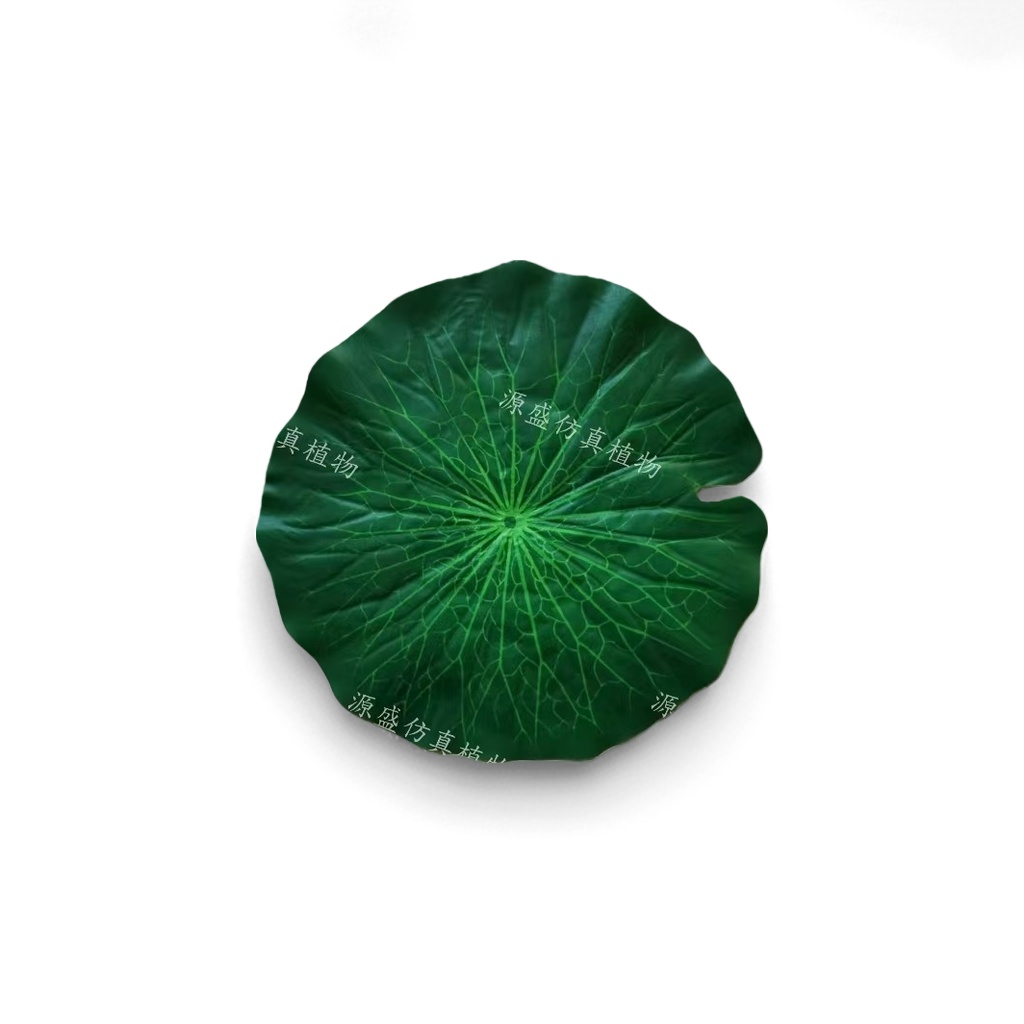 办公文化仿真园艺大叶子假花微景观绿植仿真植物