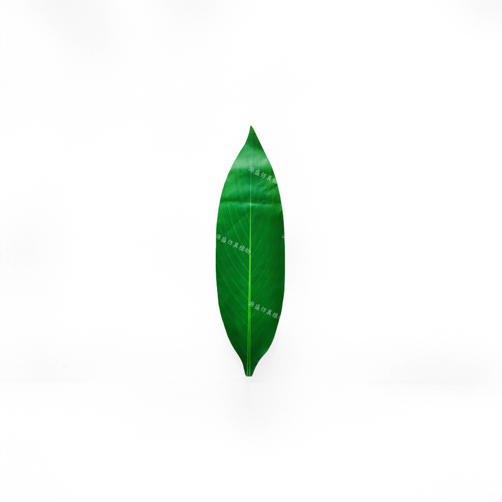 绿色叶片天然植物香氛清新剂家居空气除味喷雾
