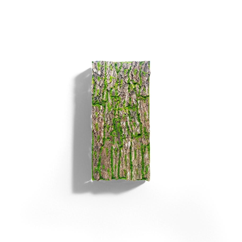 绿色苔藓覆盖树皮板 自然风装饰墙面挂饰园艺造景