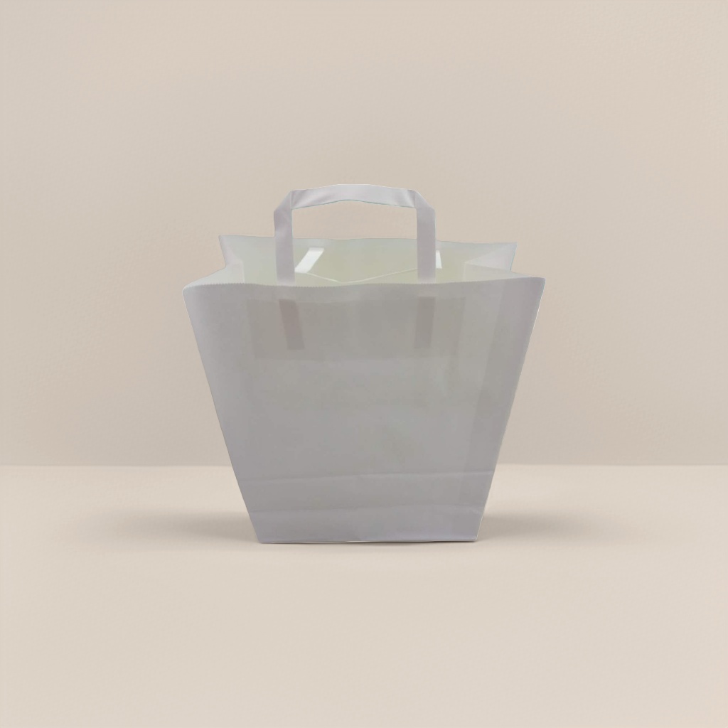 白色纸袋产品图