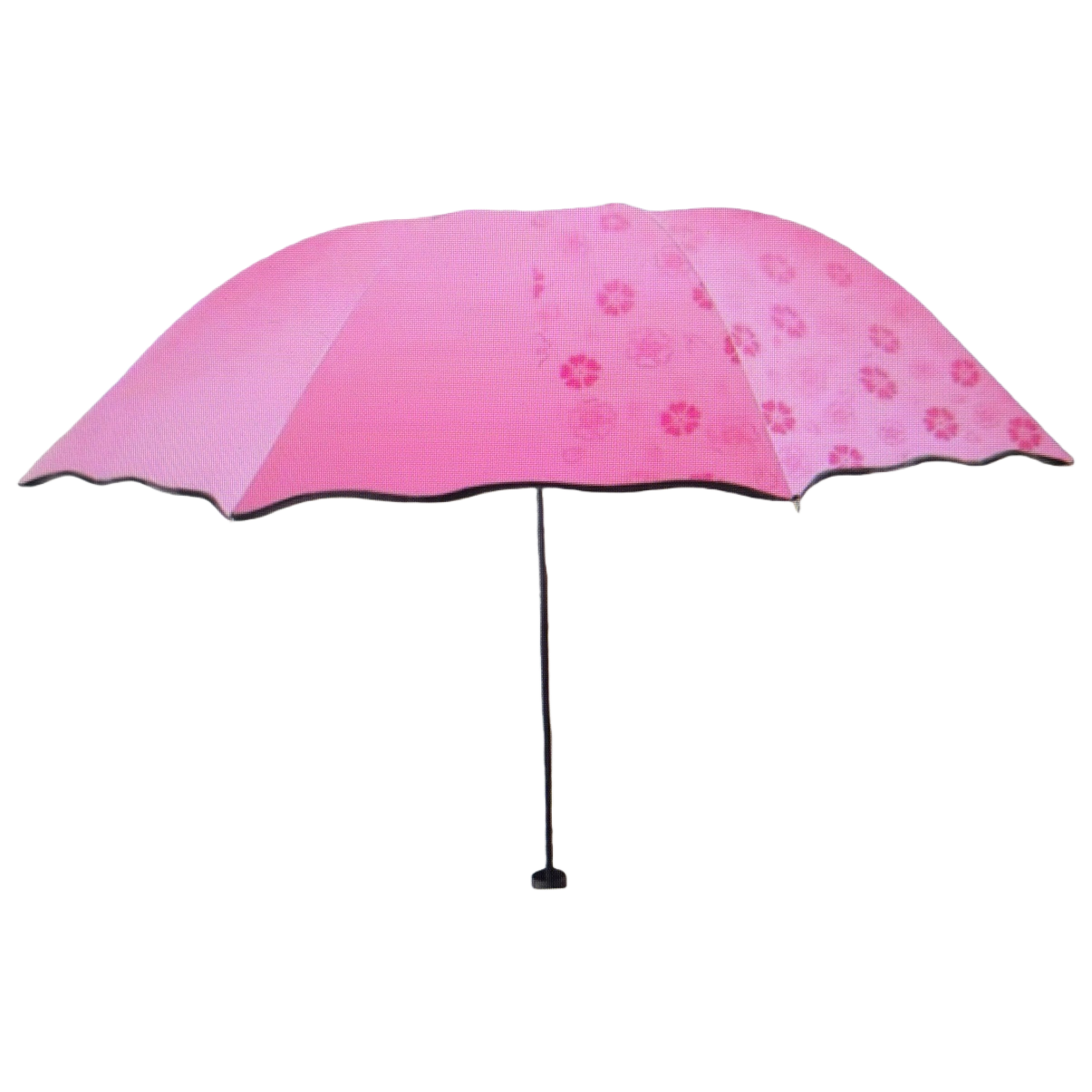 粉色雨伞白底实物图