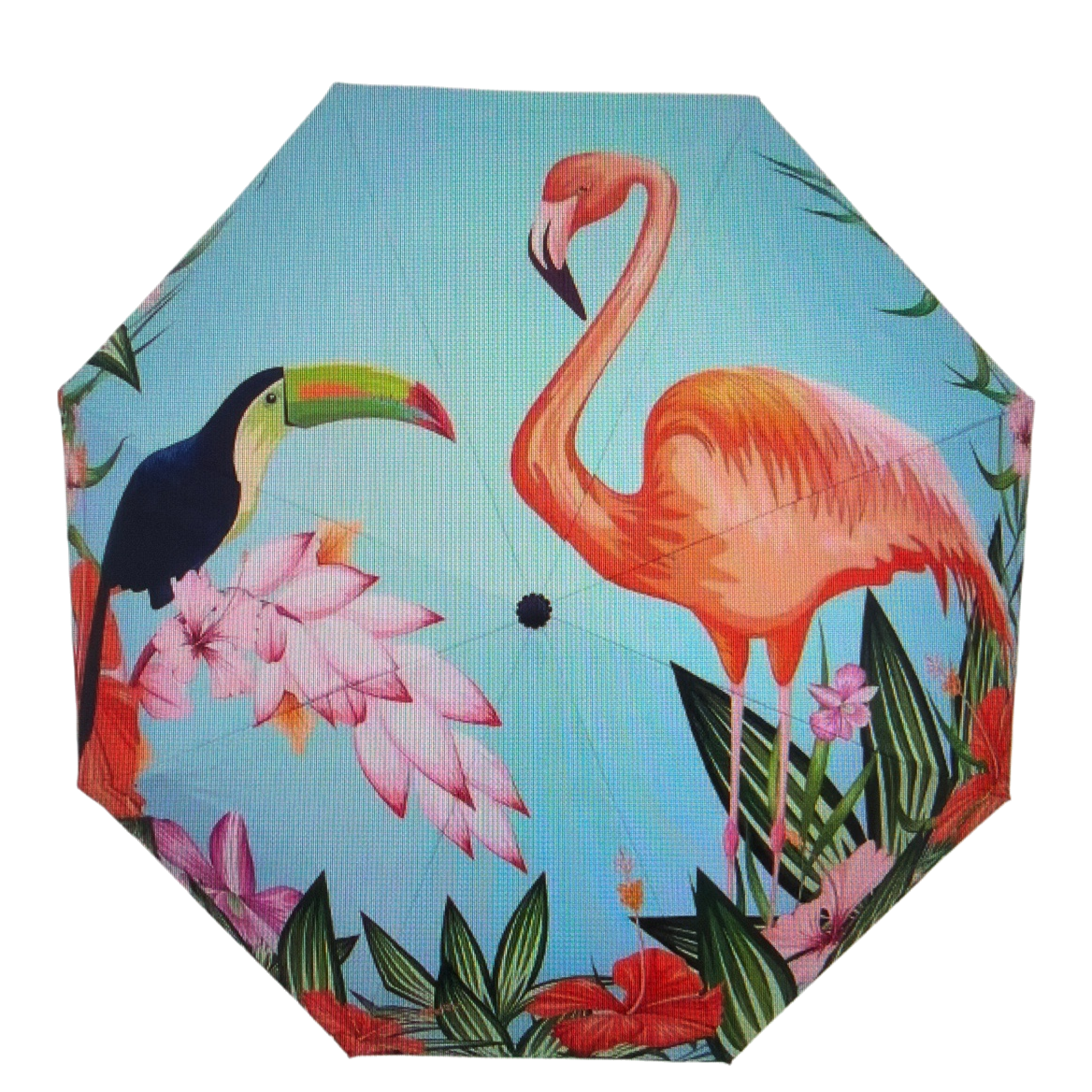 Colorful tropical bird pattern all-weather umbrella, waterproof, sun-proof, lightweight and foldable Item Picture