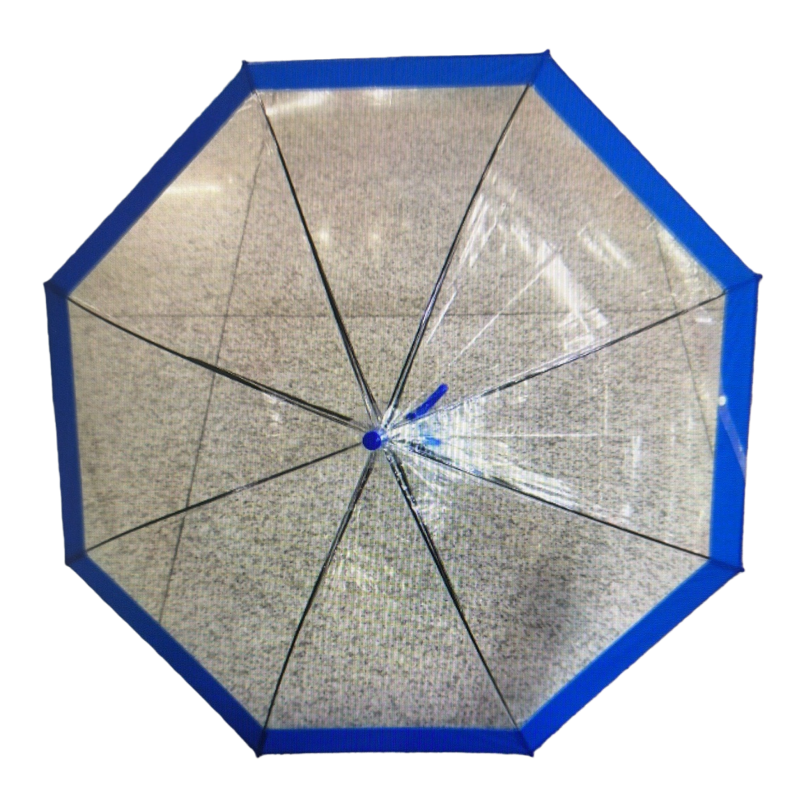 蓝色边框透明雨伞白底实物图