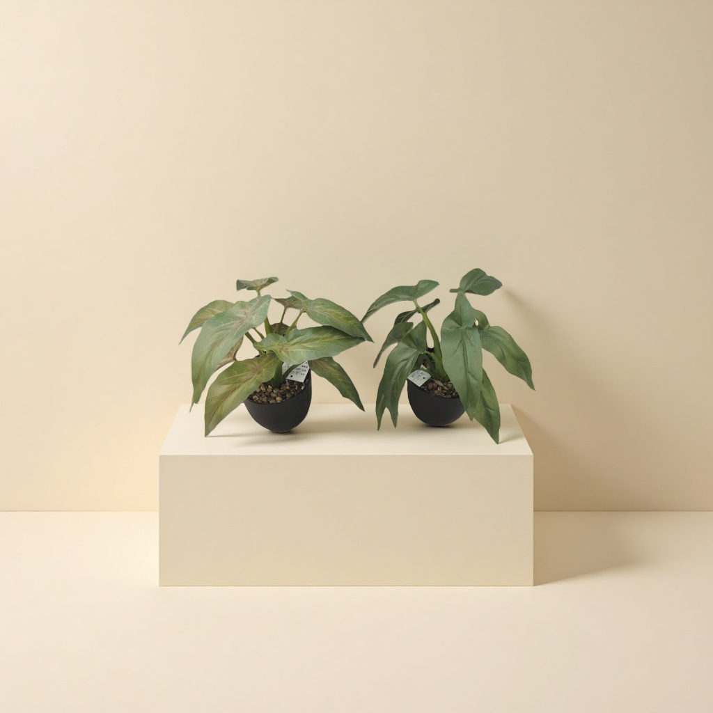 Green plant potted plants for indoor air purification, small potted plants and succulent combinations Specification image