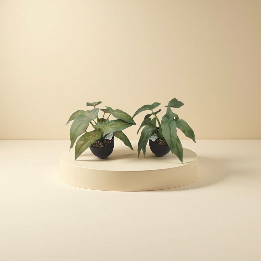 Green plant potted plants for indoor air purification, small potted plants and succulent combinations Application Scenario