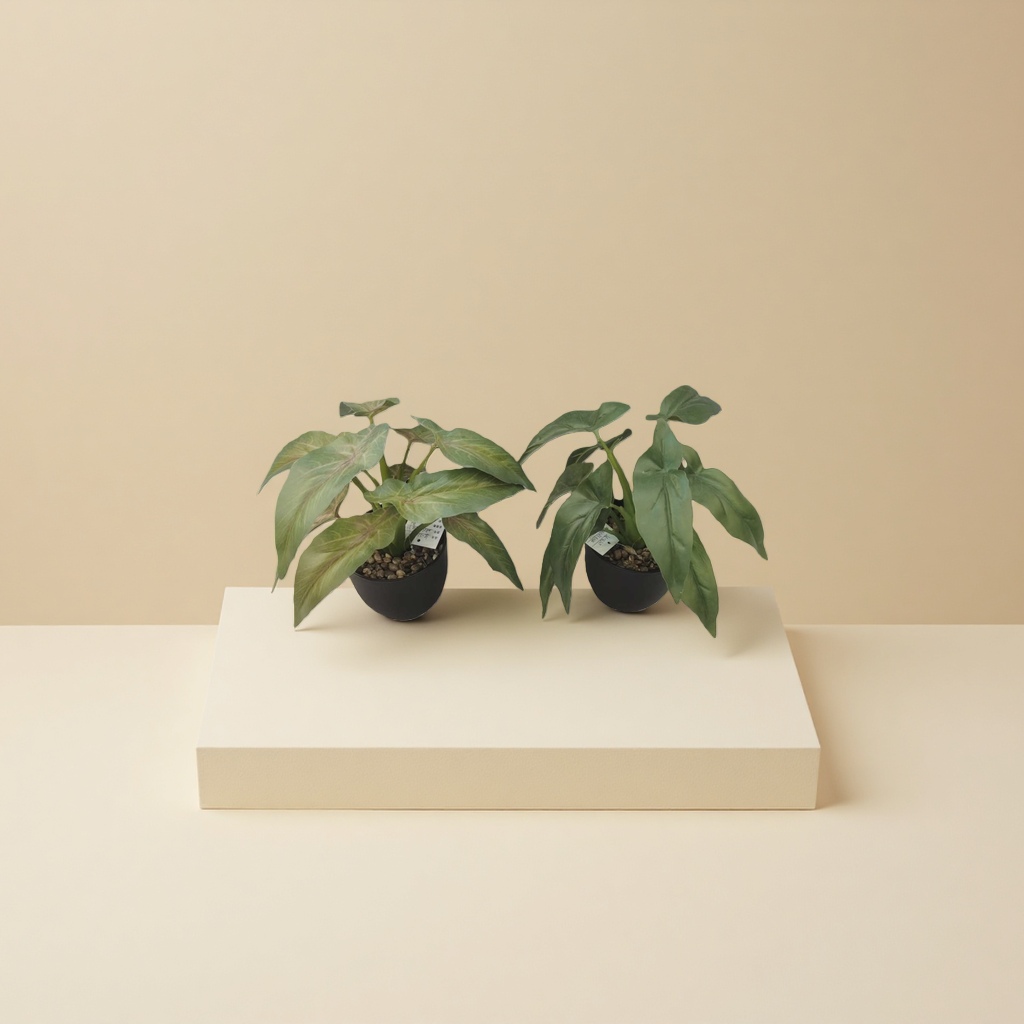 Green plant potted plants for indoor air purification, small potted plants and succulent combinations