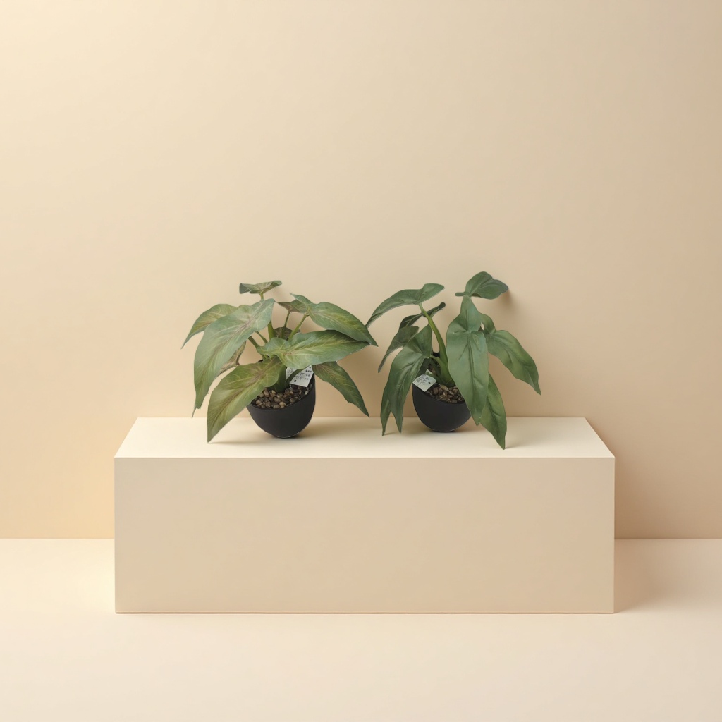 Green plant potted plants for indoor air purification, small potted plants and succulent combinations details Picture