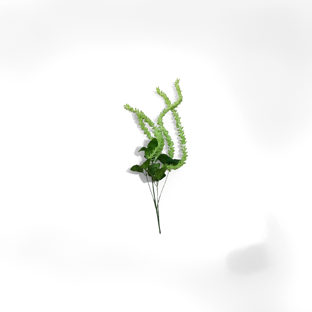绿色仿真花枝产品图