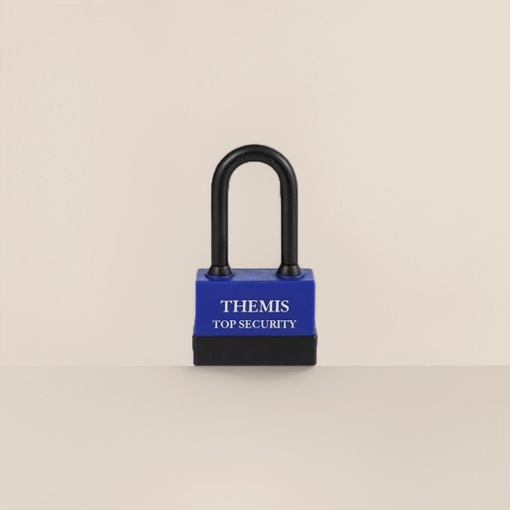 Negro U lock azul cuerpo de la cerradura antipalanca candado antirrobo cerradura de acero engrosado details Picture