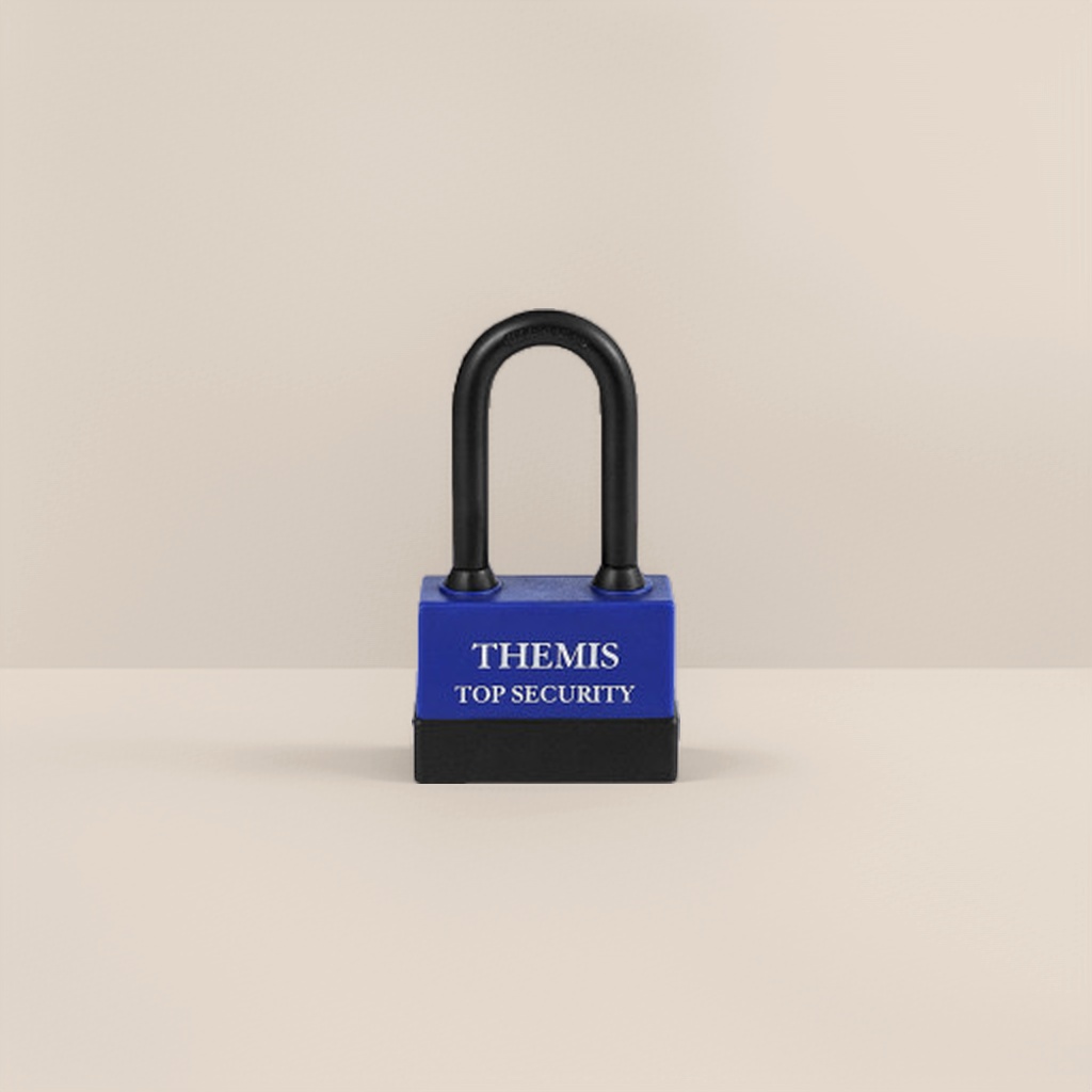 Black U-shaped lock, blue lock body, high-carbon steel anti-cut and anti-theft padlock, specially designed for outdoor bicycles Application Scenario