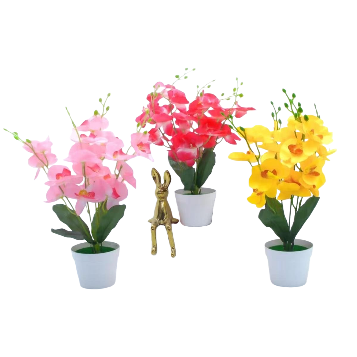 Three potted colorful Phalaenopsis plants with golden rabbit ornaments and two books Item Picture
