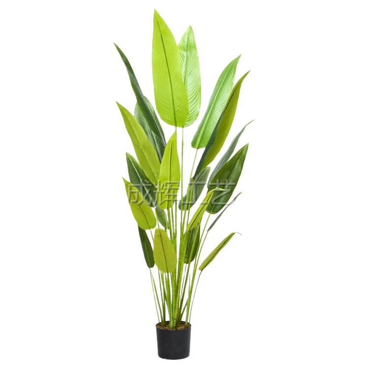 仿真绿色天堂鸟植物盆栽 大型客厅阳台装饰绿植 附种植盆白底实物图
