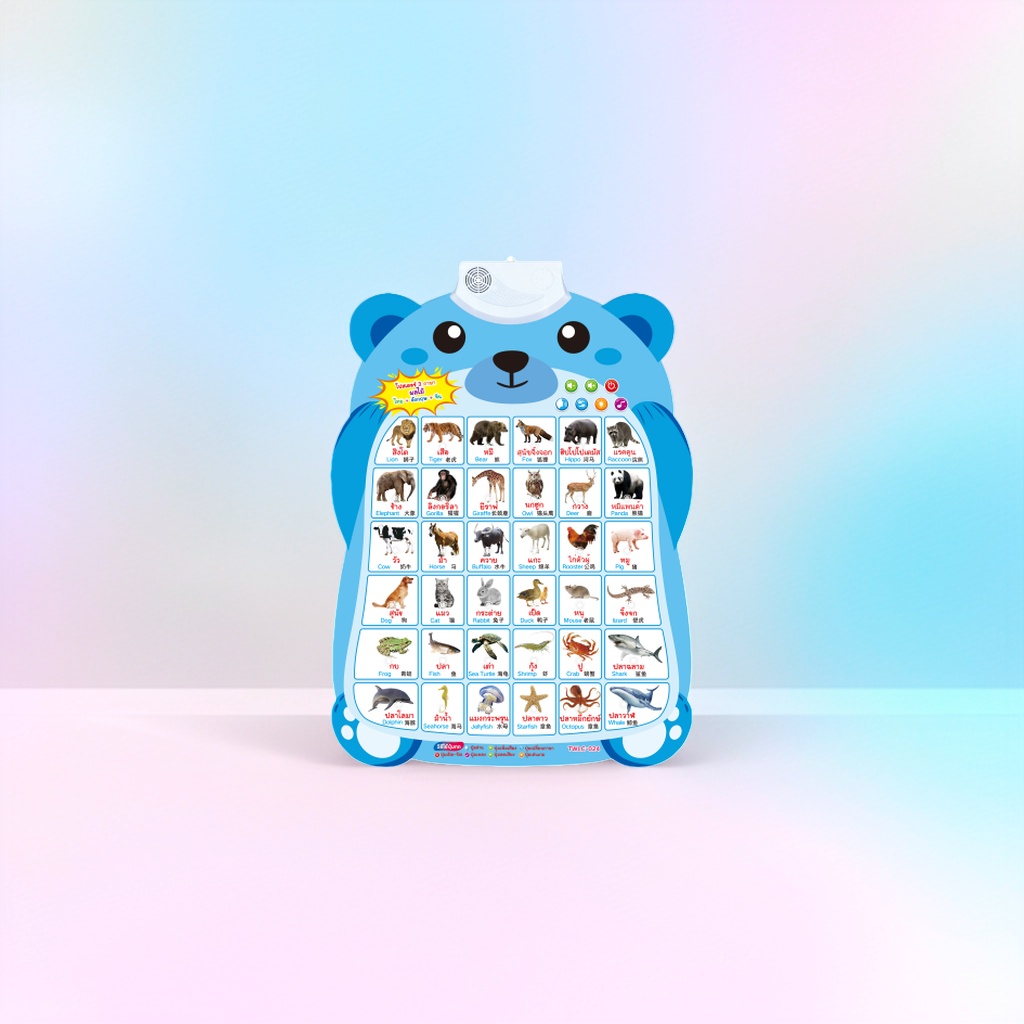有声挂图实物图