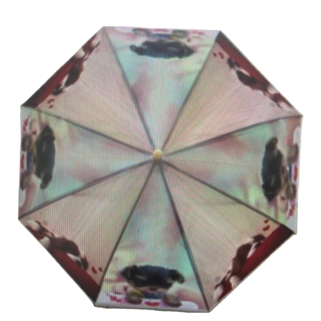 Colorful printed all-weather umbrella, waterproof, sun-proof, lightweight and foldable, suitable for both women and men Item Picture