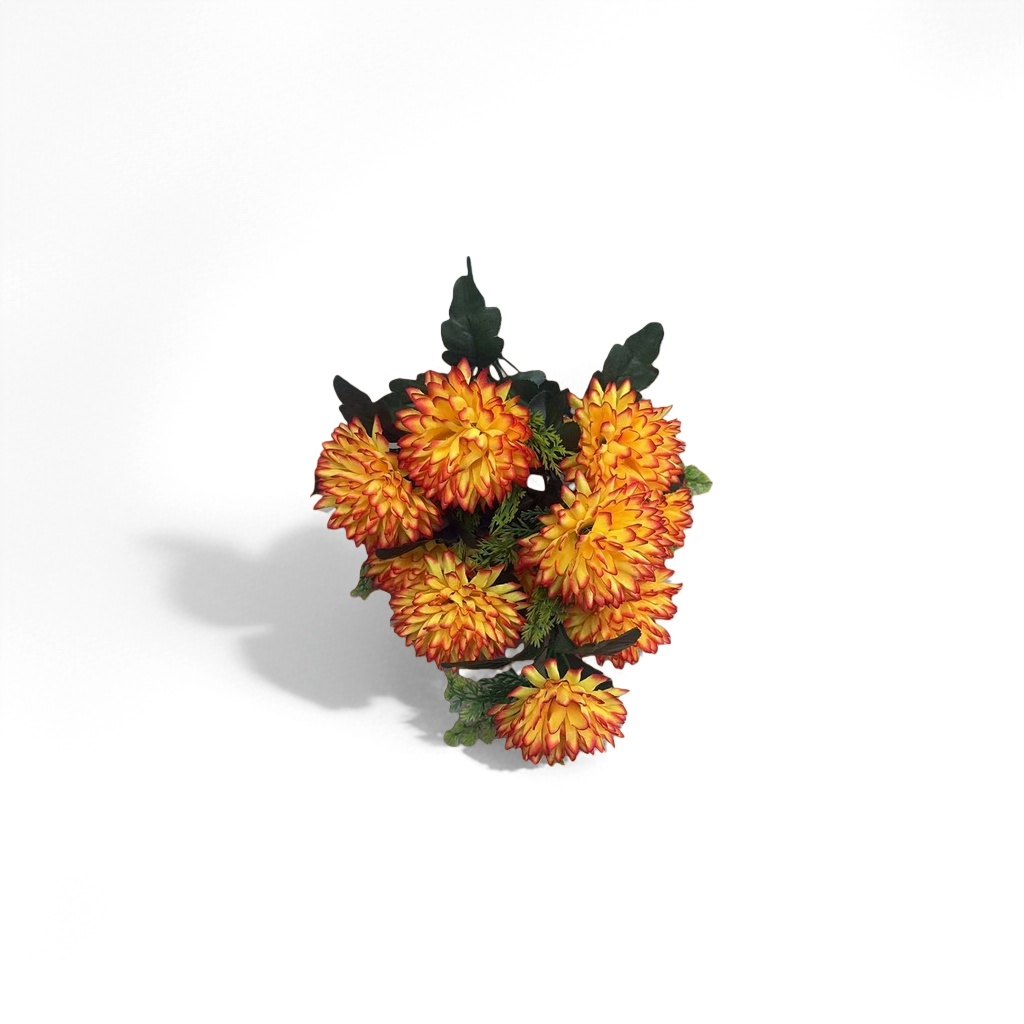 黄色红边菊花束 鲜花插花装饰花材 家居摆设节日礼品