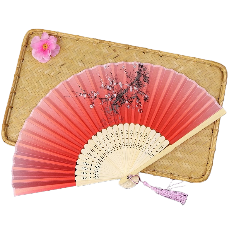 扇子/非遗/折扇/塑料扇子/蒲扇白底实物图