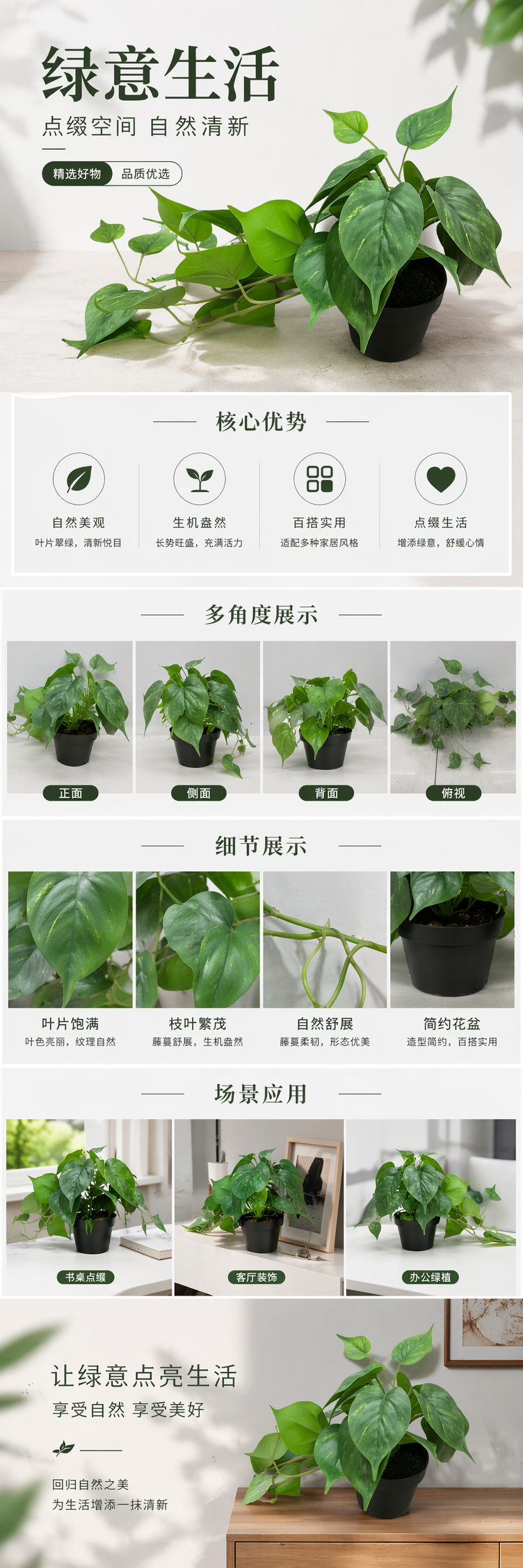 绿色心形叶薄荷盆栽植物盲盒绿植种子伴手礼详情1