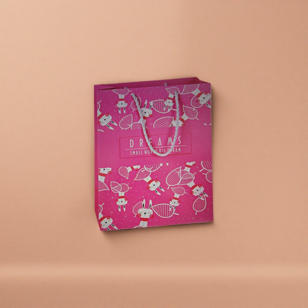 Pink gift bag, white rabbit, red and white striped leaf pattern, DREAMS SMALL WORLD BIG DREAM, grey rope handle