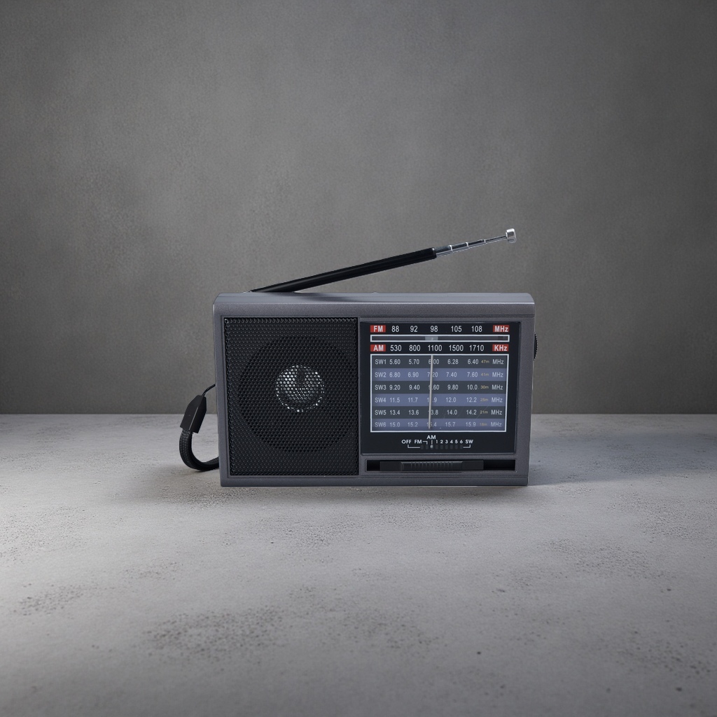The black portable radio features an ultra-thin design, FM receiver, digital frequency modulation and battery power details Picture