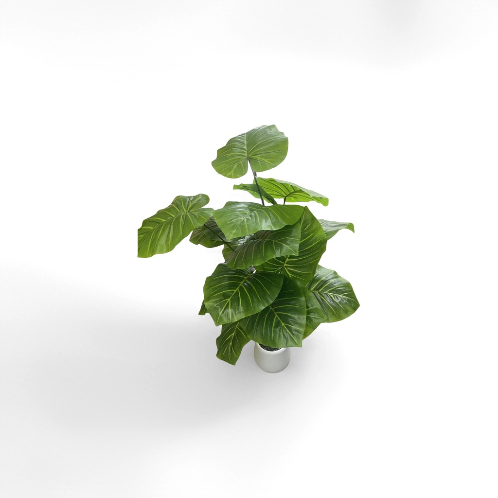 Green large-leaf potted plants, indoor foliage green plants for living room and balcony decoration, purify the air Application Scenario