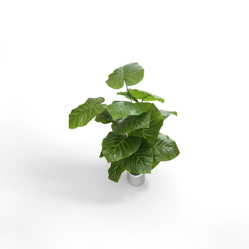 Green large-leaf potted plants, indoor foliage green plants for living room and balcony decoration, purify the air