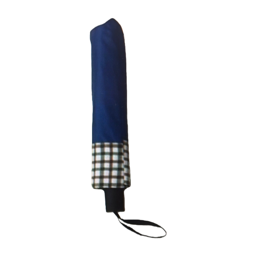 Blue all-weather automatic umbrella, waterproof, sun-proof, lightweight and foldable umbrella Item Picture