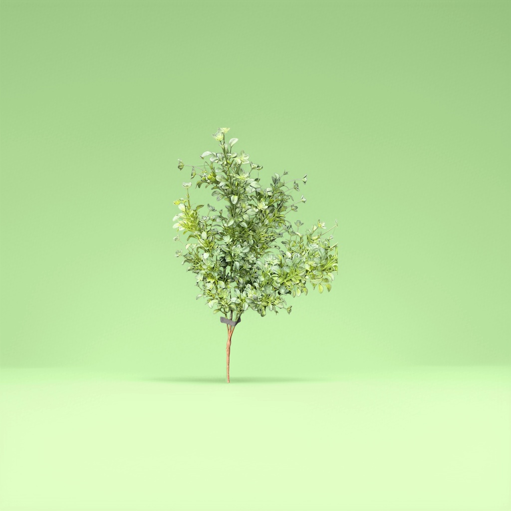 绿色仿真植物枝条细节图