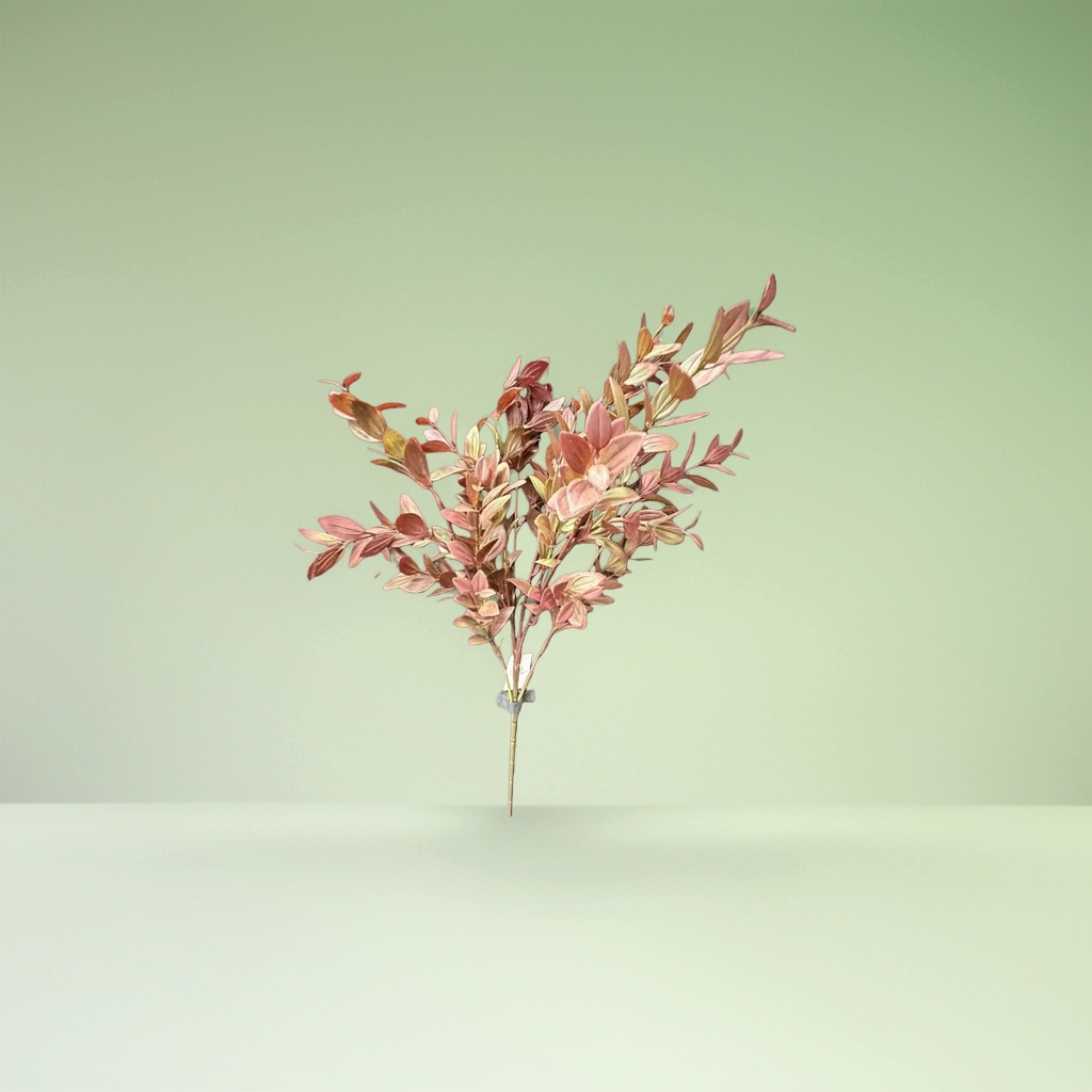 红褐色叶片植物枝条室内绿植盆栽观叶植物装饰