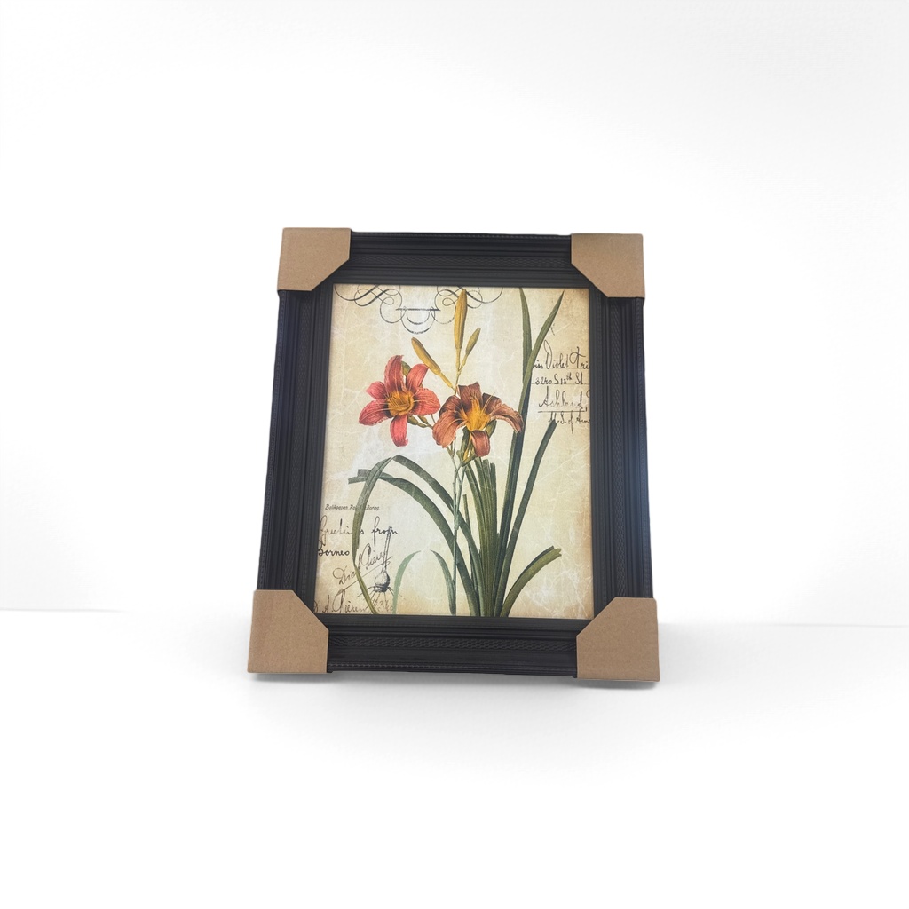 黑色相框+花卉植物画产品图