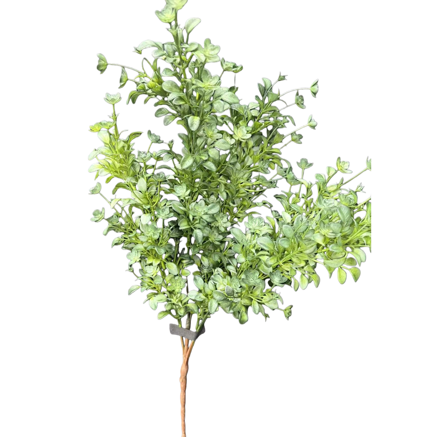 绿色仿真植物枝条白底实物图