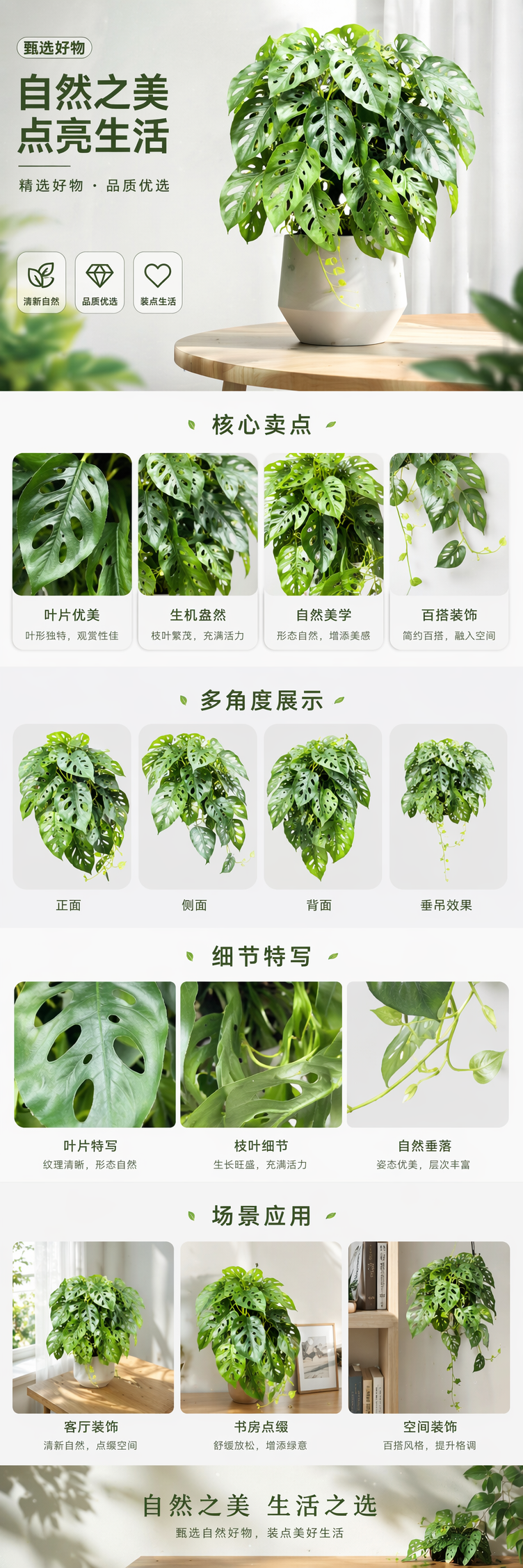 绿色龟背竹叶丛 盆栽绿植室内装饰观叶植物详情1