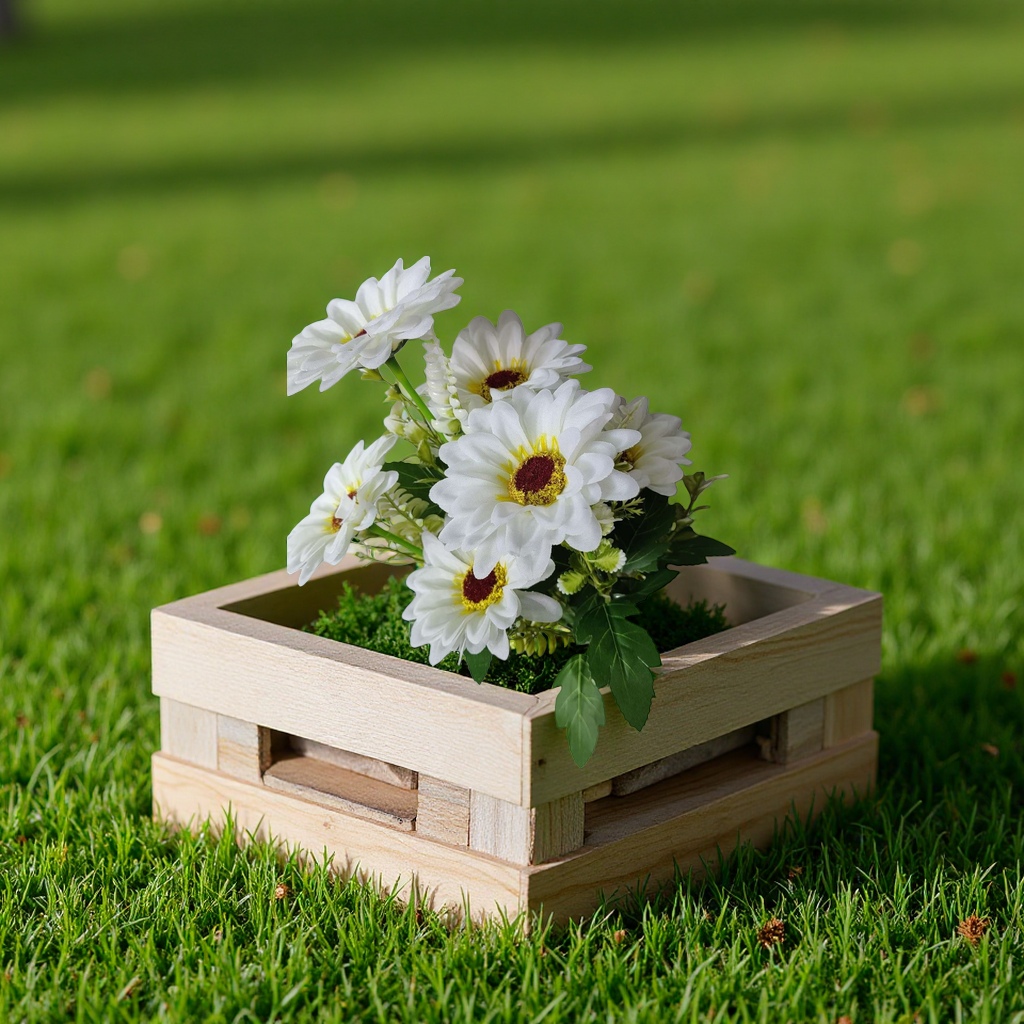 White Daisy bouquets, birthday gifts, Mother's Day carnations for delivery details Picture