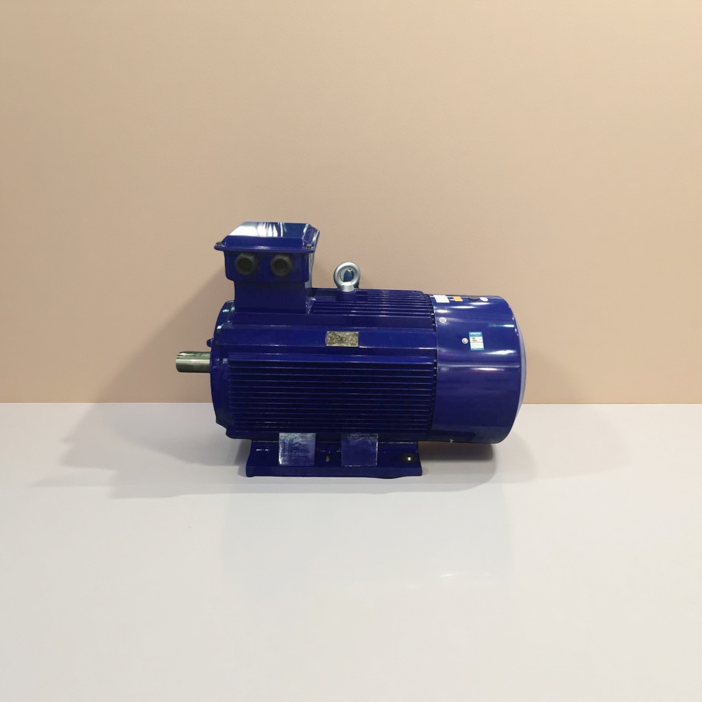 Blue motor DC brushless, high-efficiency, energy-saving, quiet, universal type details Picture
