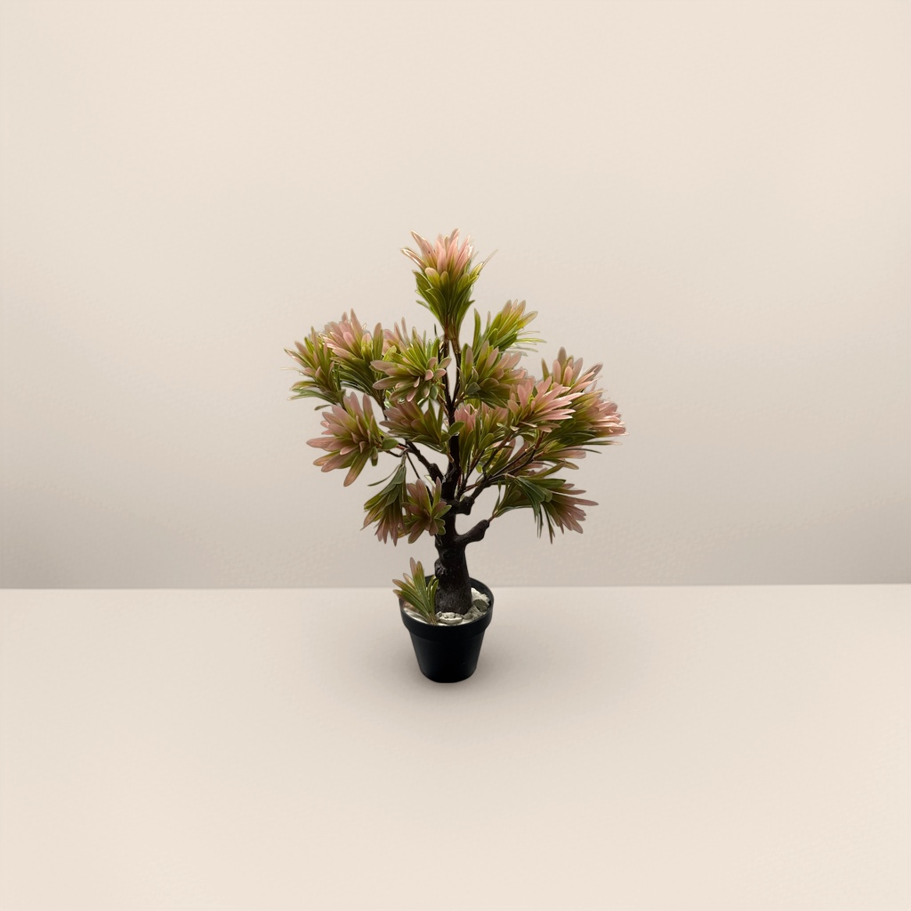 粉色绿叶盆栽树室内观叶植物小型家居装饰绿植
