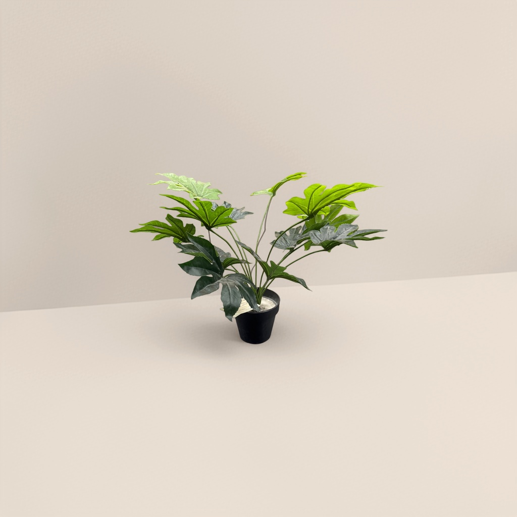 绿色掌状叶植物盆栽细节图