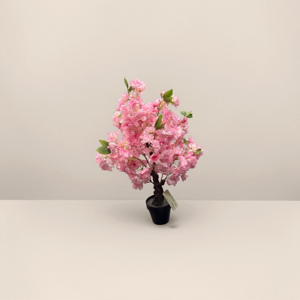 粉色樱花盆栽 室内装饰小盆景 开花植物阳台绿植