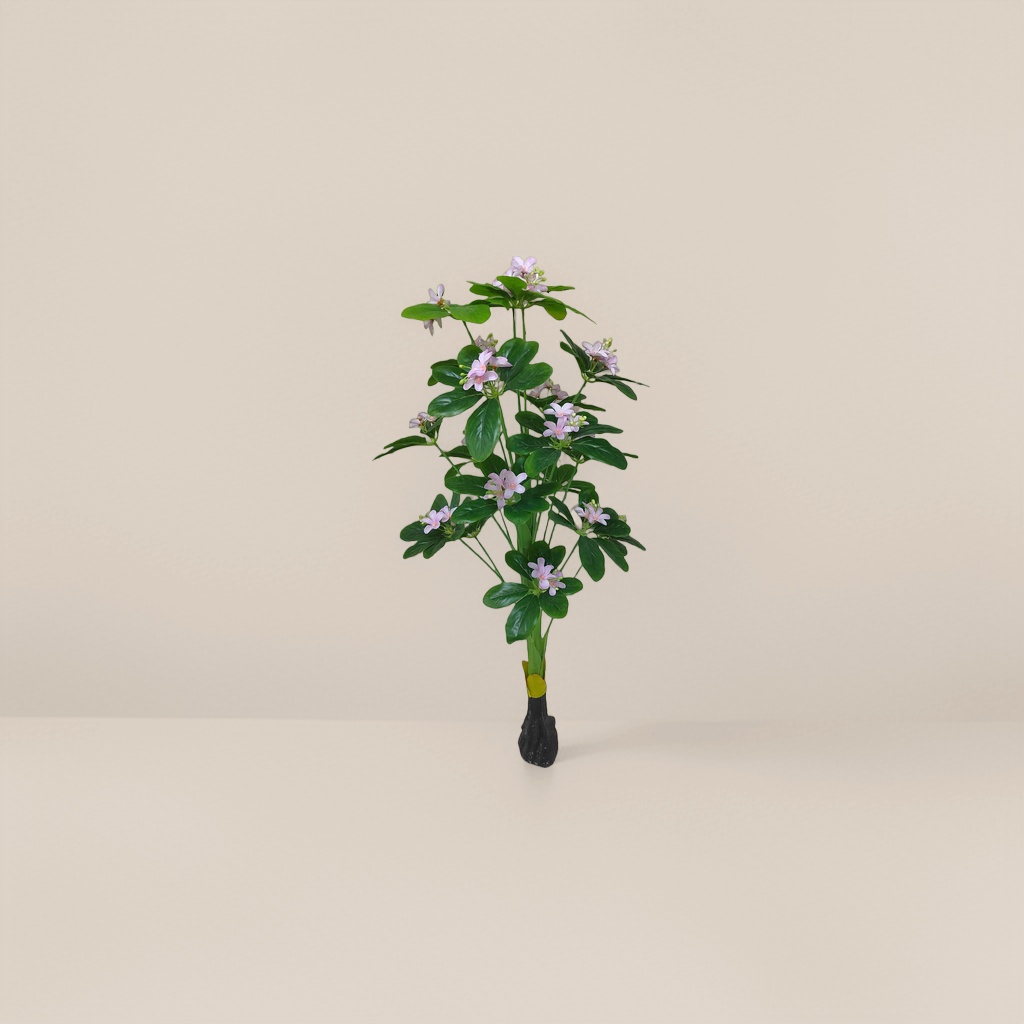 粉色花朵绿叶植物盆栽室内桌面小型观叶花卉