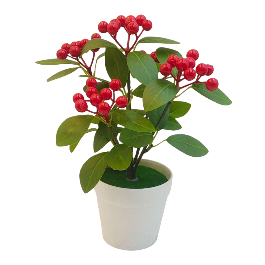 红色浆果绿叶盆栽室内观果植物客厅阳台装饰绿植 Item Picture