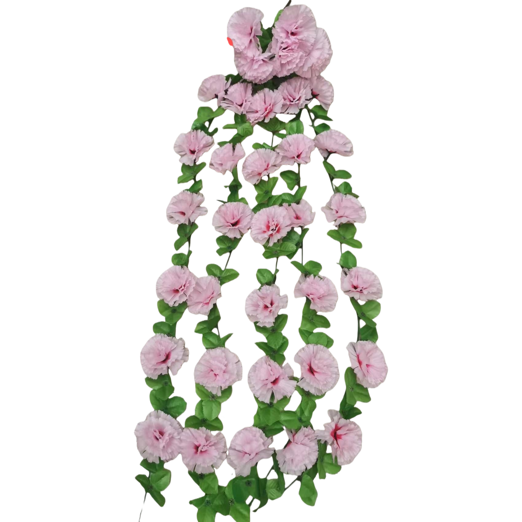 粉色丁香花藤，绿色叶片点缀白底实物图