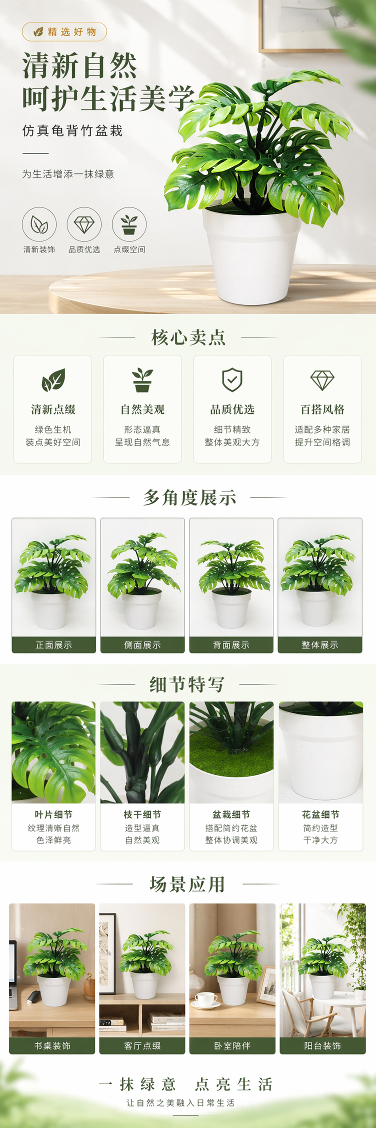 绿色龟背竹盆栽 室内观叶植物 净化空气易养绿植 pic 1