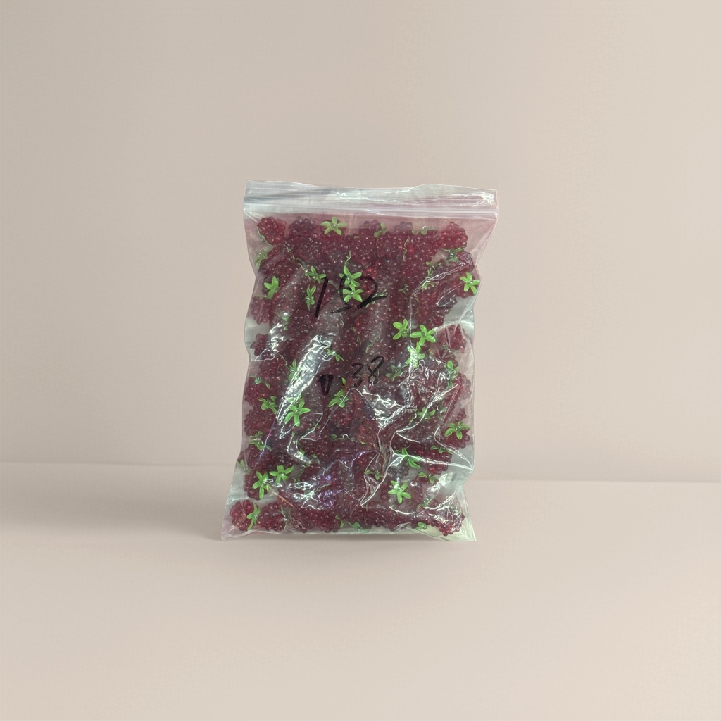 红色浆果钥匙扣配件diy饰品