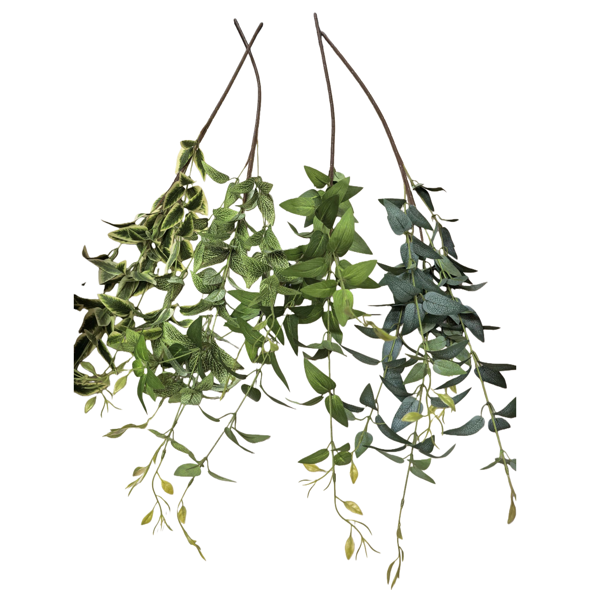 绿色仿真藤蔓植物白底实物图