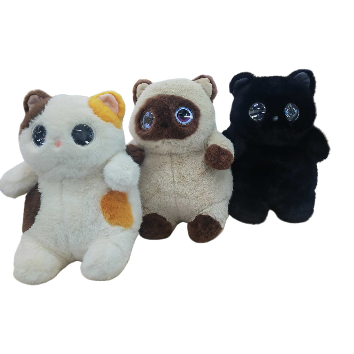三只毛绒玩具猫+白底实物图