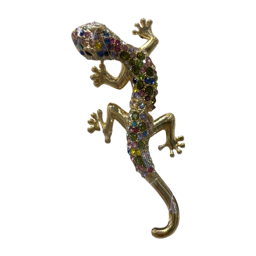 دبابيس مصنوعة من السحالي الملونة Item Picture