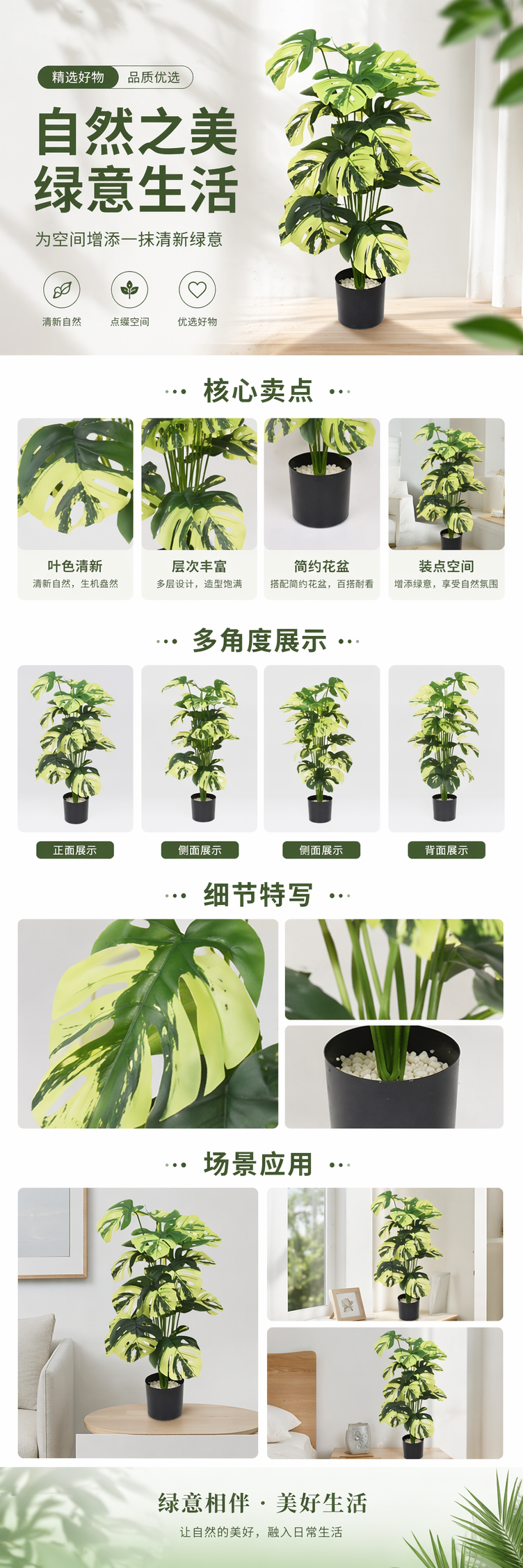 绿黄相间斑叶龟背竹盆栽 室内观叶植物带盆可发货详情1